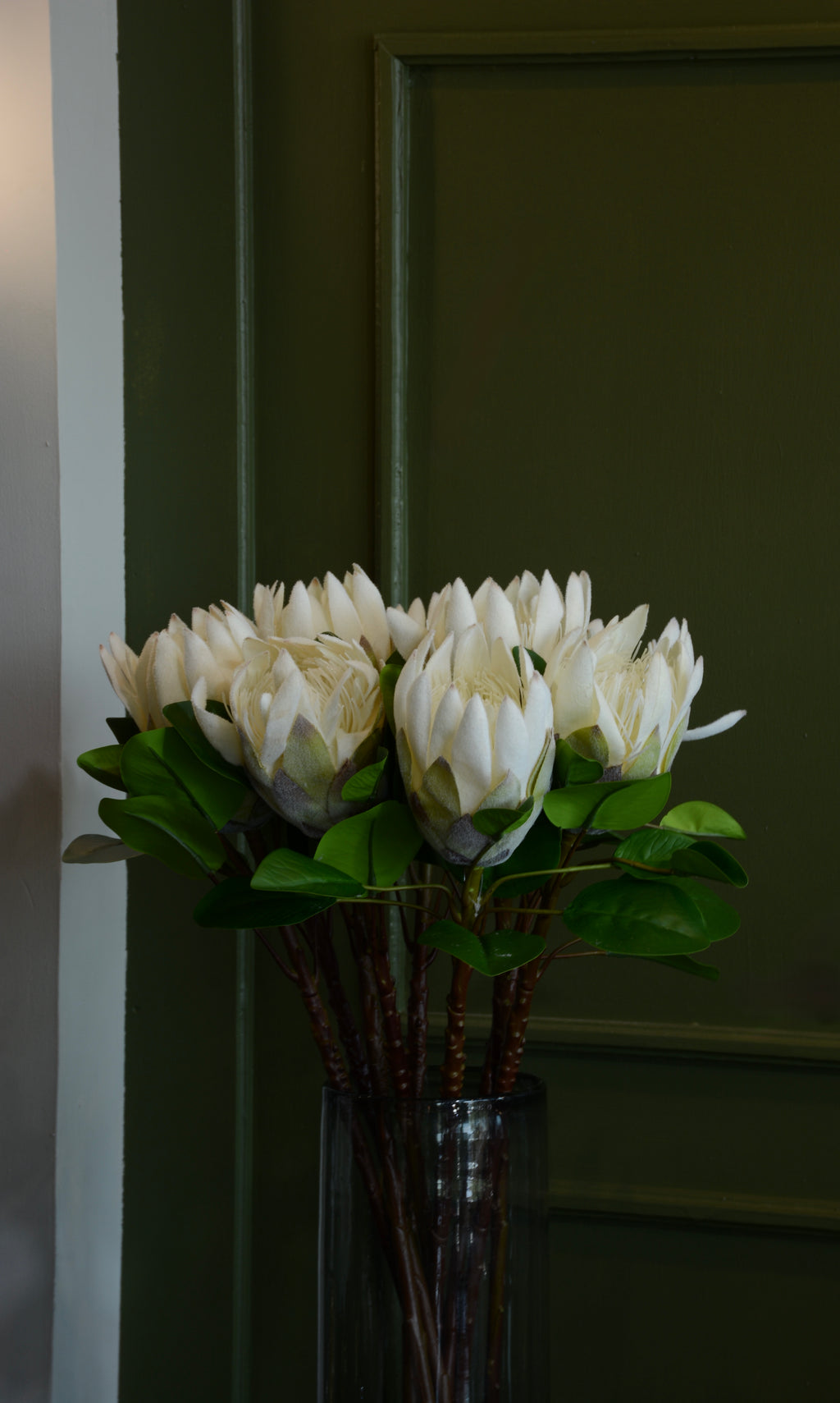 PROTEA REY BLANCA