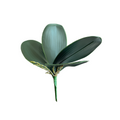 HOJA DE ORQUIDEA F30010-L VERDE