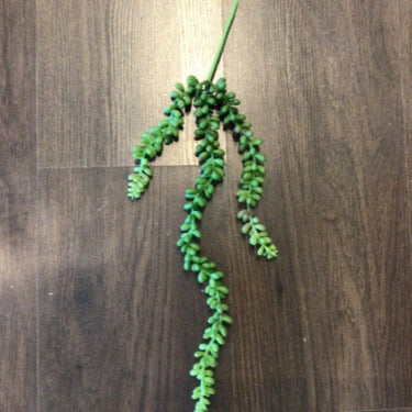 VARA DE SEDUM VERDE