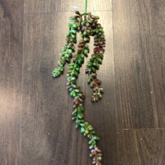 VARA DE SEDUM MAUVE/VERDE