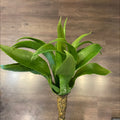 FOLLAJE VERDE 18"