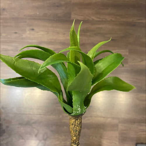 FOLLAJE VERDE 18"