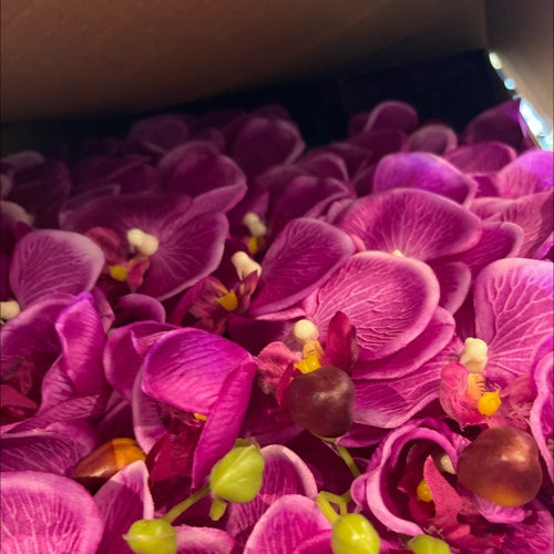 VARA DE ORQUIDEA MORADA