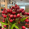VARA DE BERRY ROJO