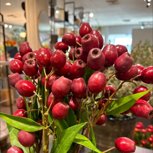 VARA DE BERRY ROJO