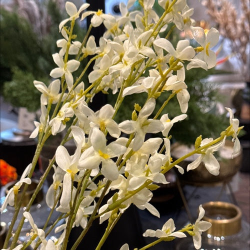 VARA DE MINI FLOR CREMA