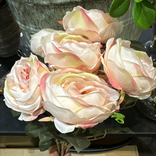 ROSA INGLESA ROSA