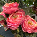 ROSA INGLESA FUCSIA