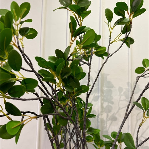 RAMO DE JASMIN X12 VERDE