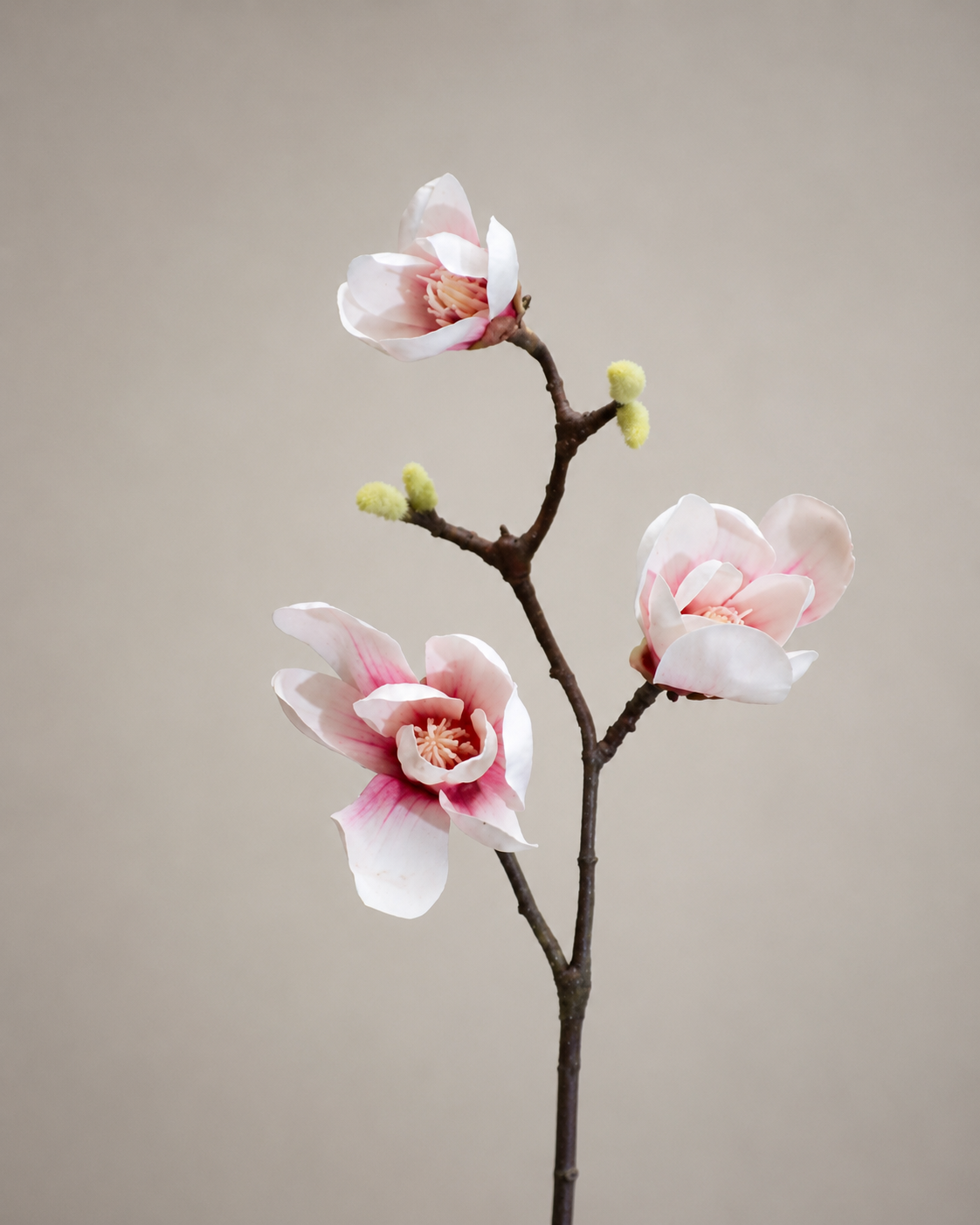 RAMO DE MAGNOLIAS ROSA
