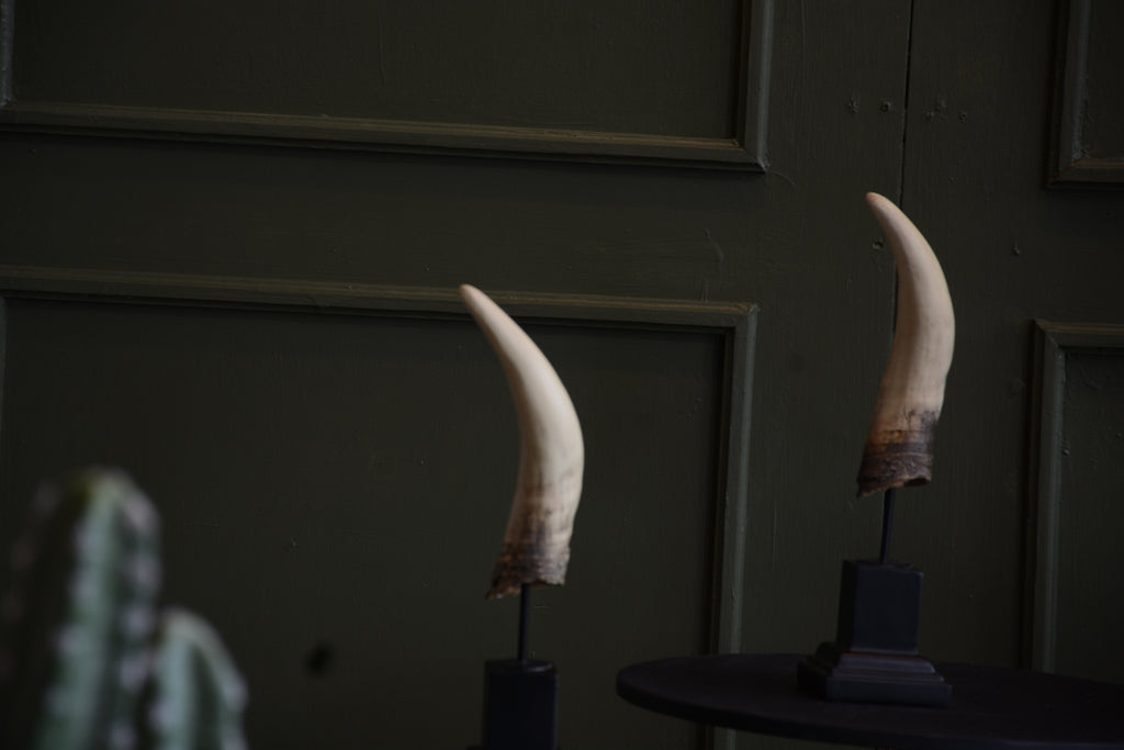 ESCULTURA CUERNO