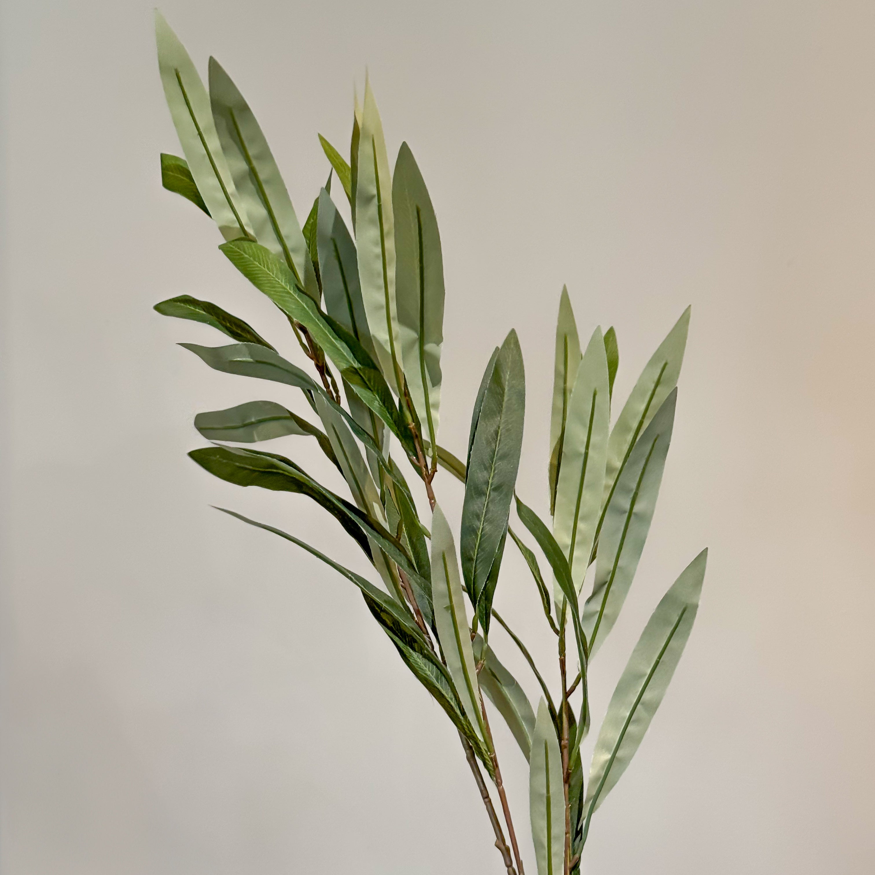 VARA CON OLIVO VERDE