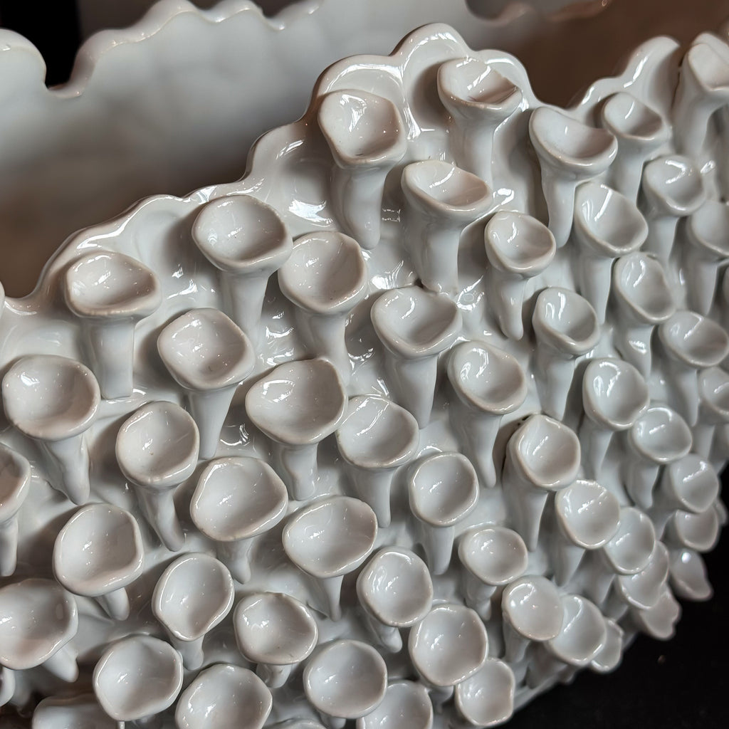 BASE CORAL BLANCA