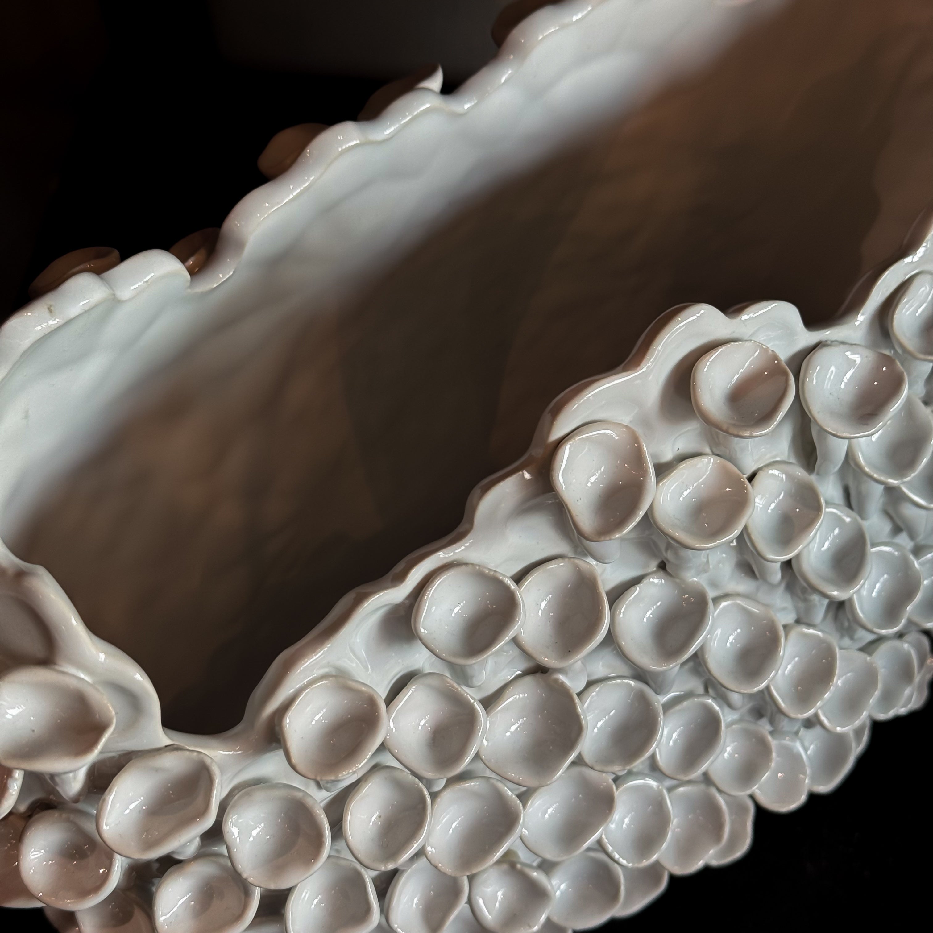 BASE CORAL BLANCA