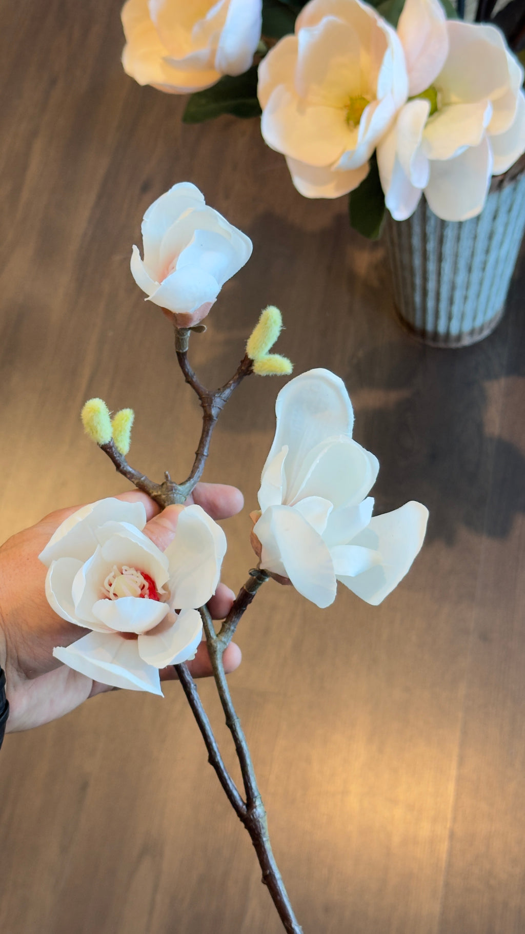 Rama de flor de magnolia rosa/ blanco