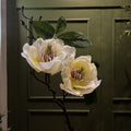 VARA DE MAGNOLIA CREMA