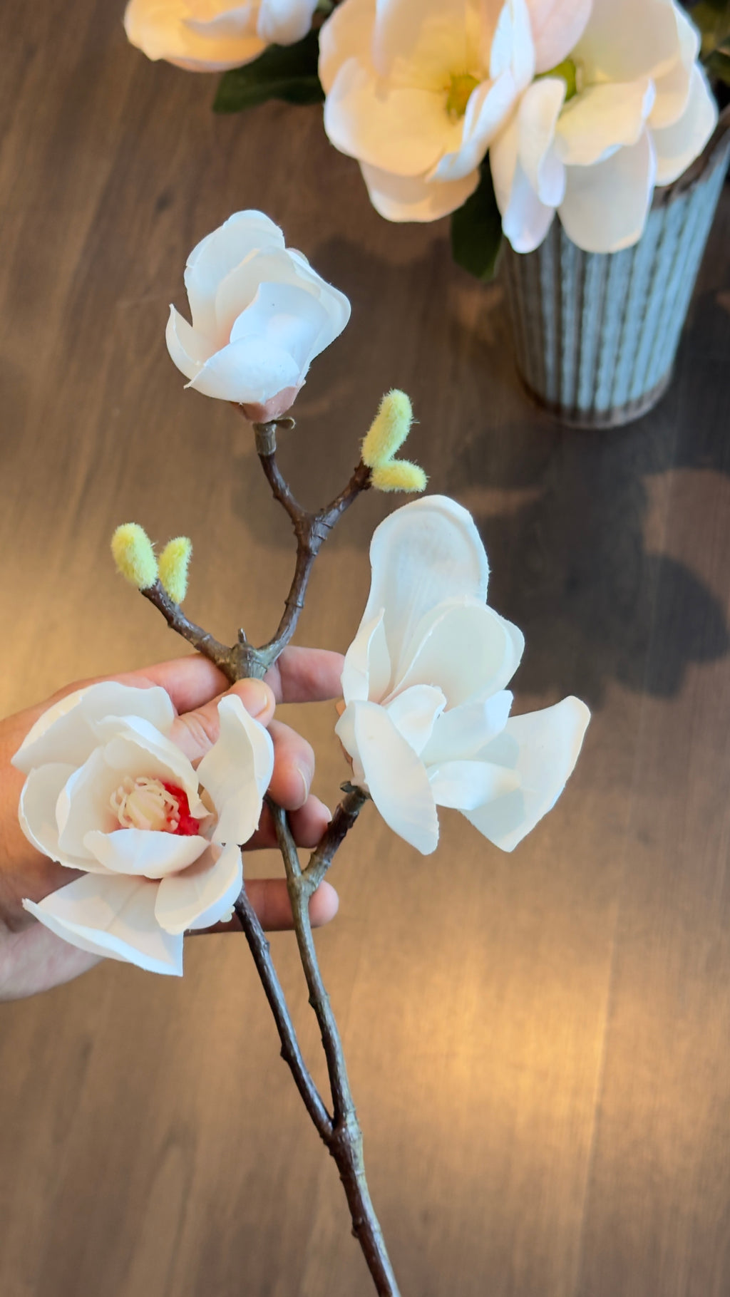 Rama de flor de magnolia rosa/ blanco