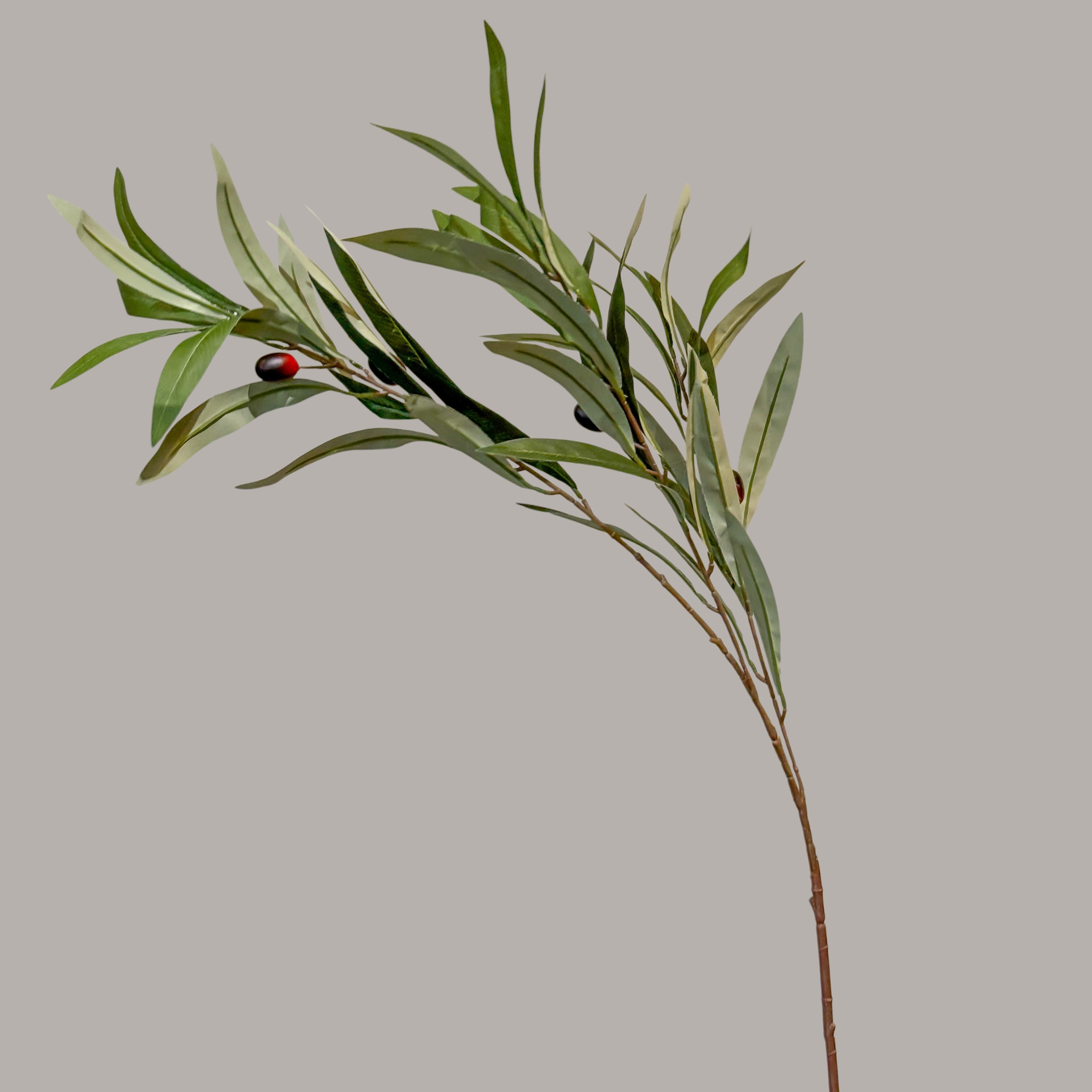 VARA CON OLIVO VERDE