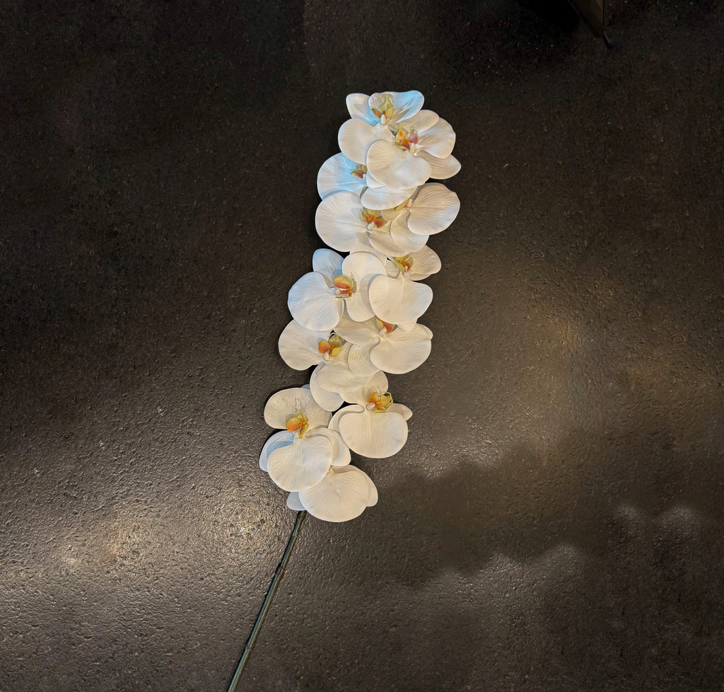 VARA DE ORQUIDEA BLANCO