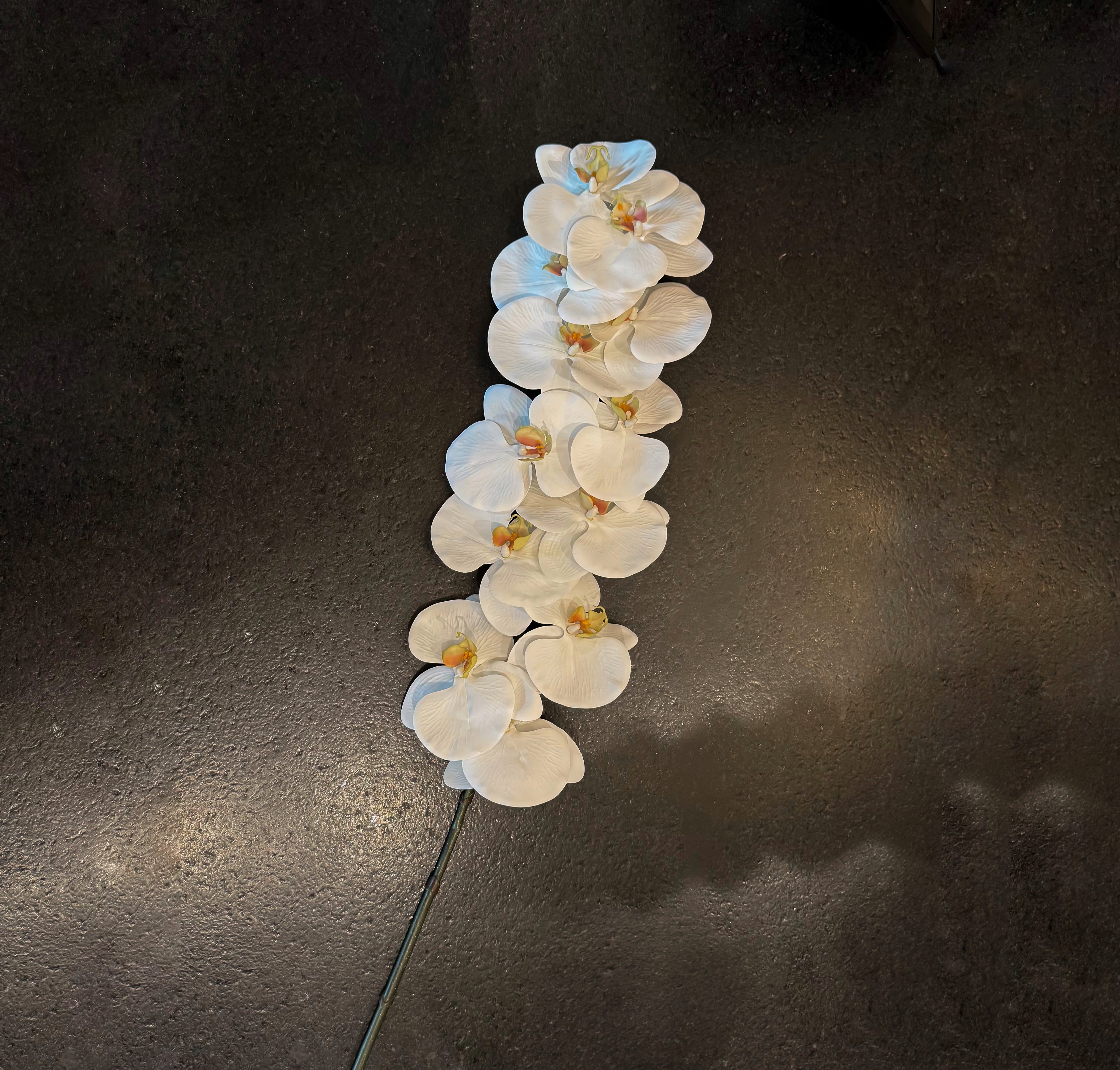 VARA DE ORQUIDEA BLANCO