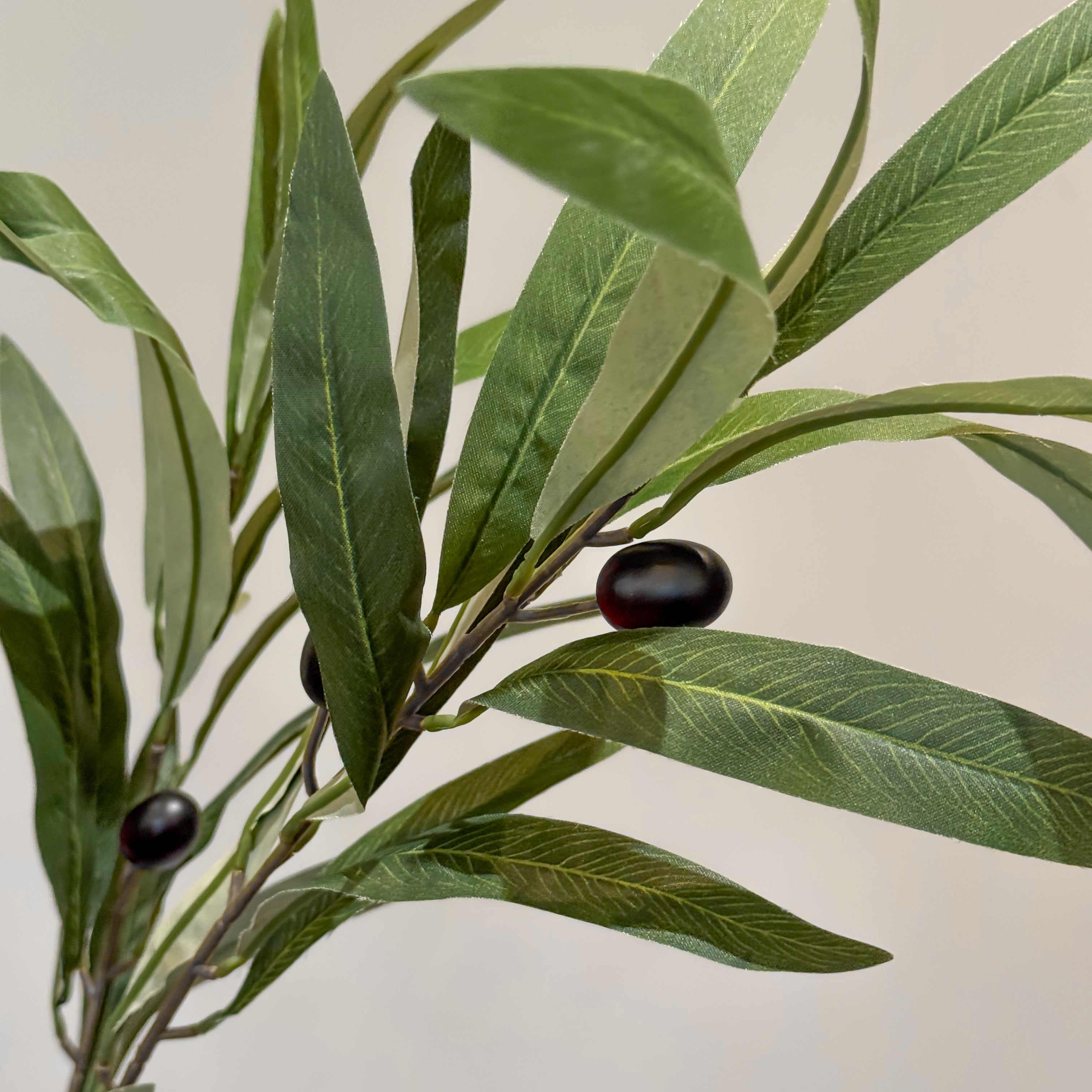 VARA CON OLIVO VERDE