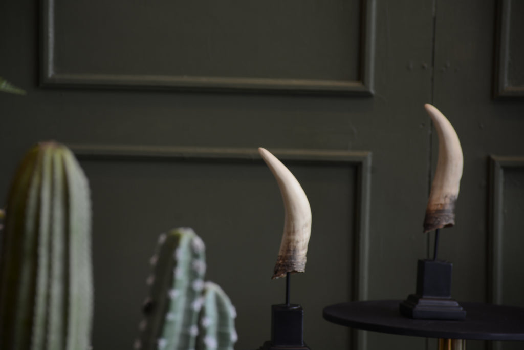 ESCULTURA CUERNO
