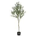 ARBOL DE OLVIO A180