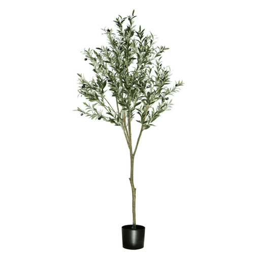 ARBOL DE OLVIO A180