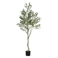 ARBOL DE OLIVO A210