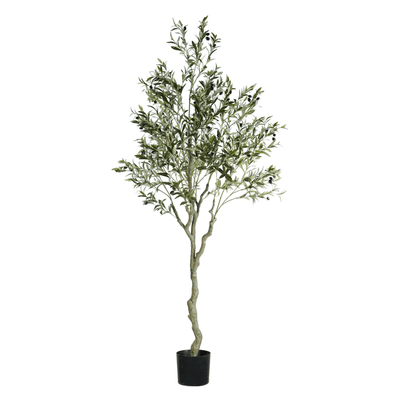ARBOL DE OLIVO A210