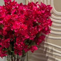 BUGANVILIA FUCSIA