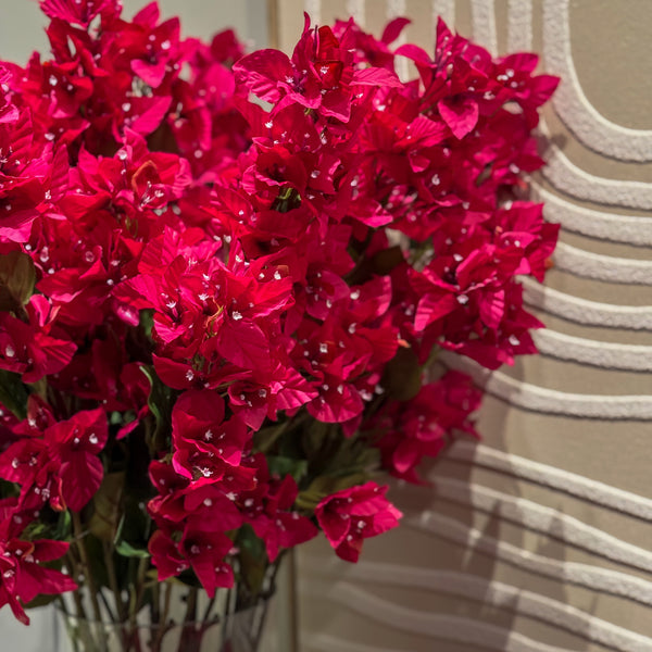 BUGANVILIA FUCSIA