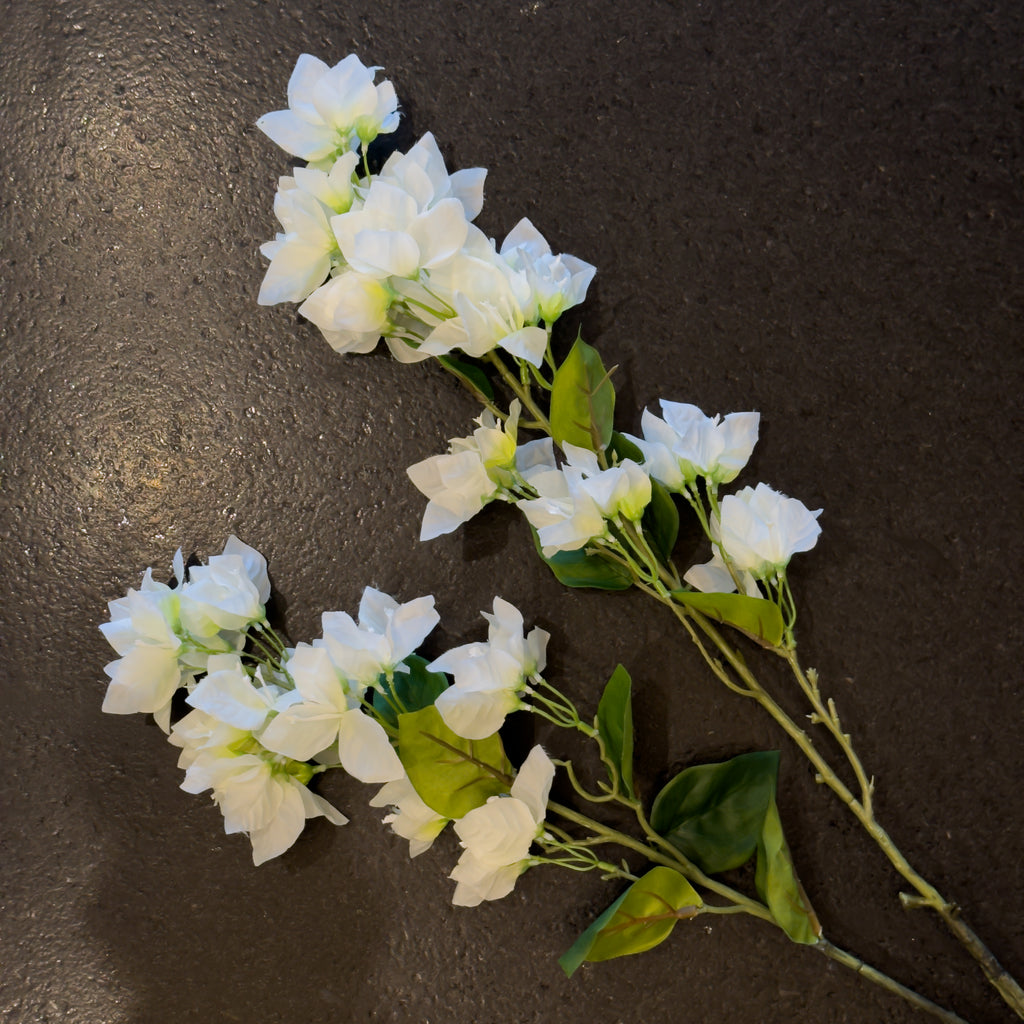 BUGANVILIA BLANCO