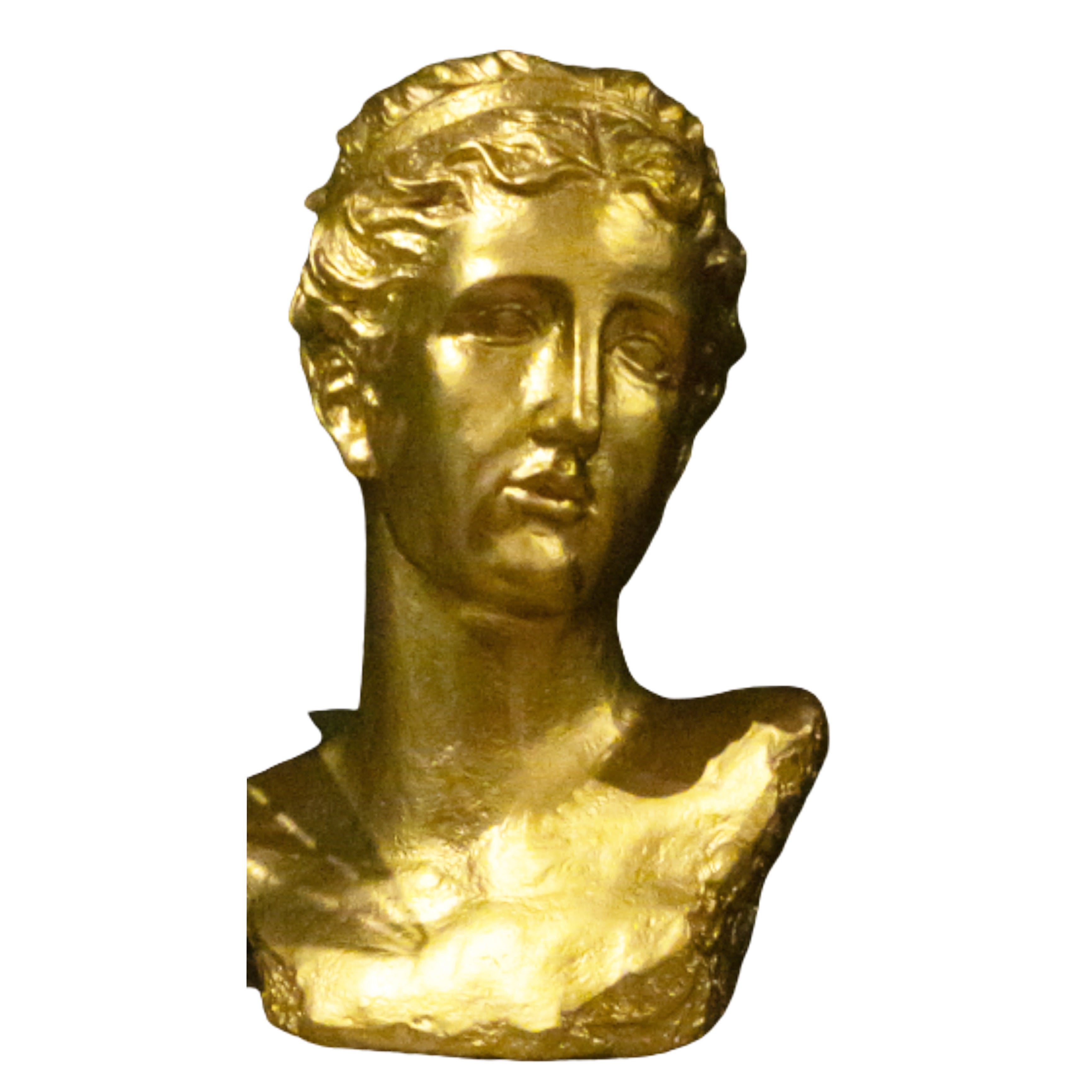 MACETA VENUS