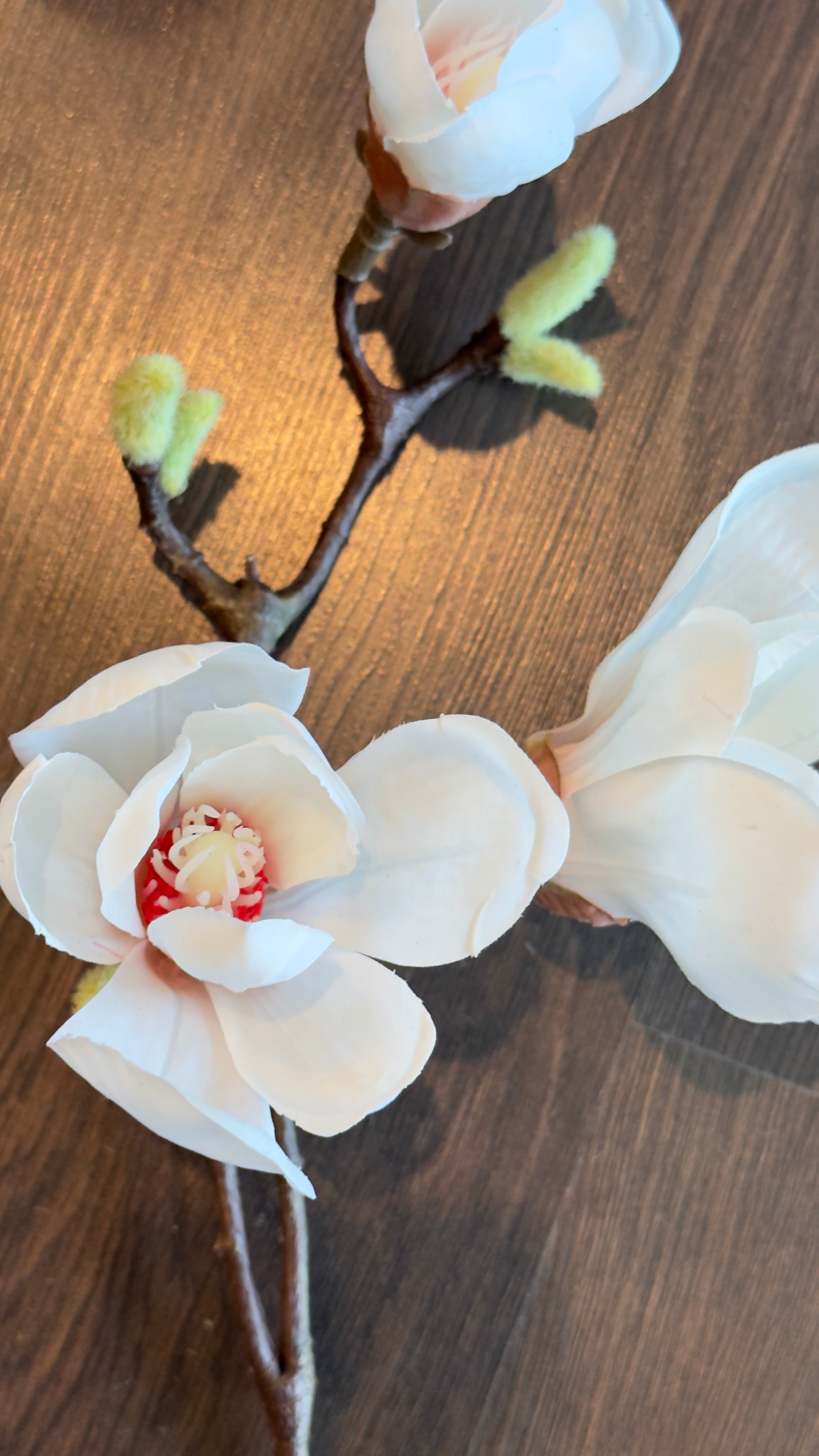 Rama de flor de magnolia rosa/ blanco