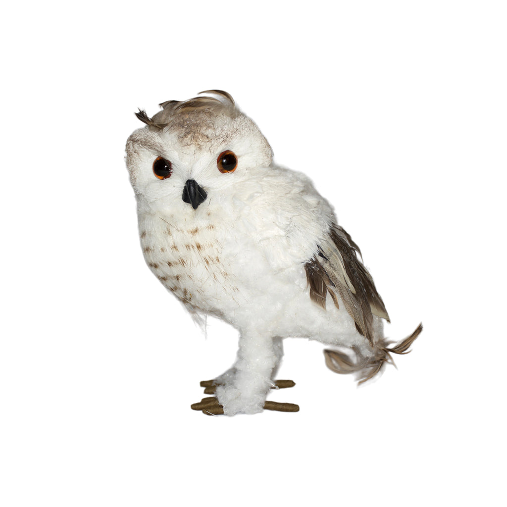 BUHO BLANCO CHICO