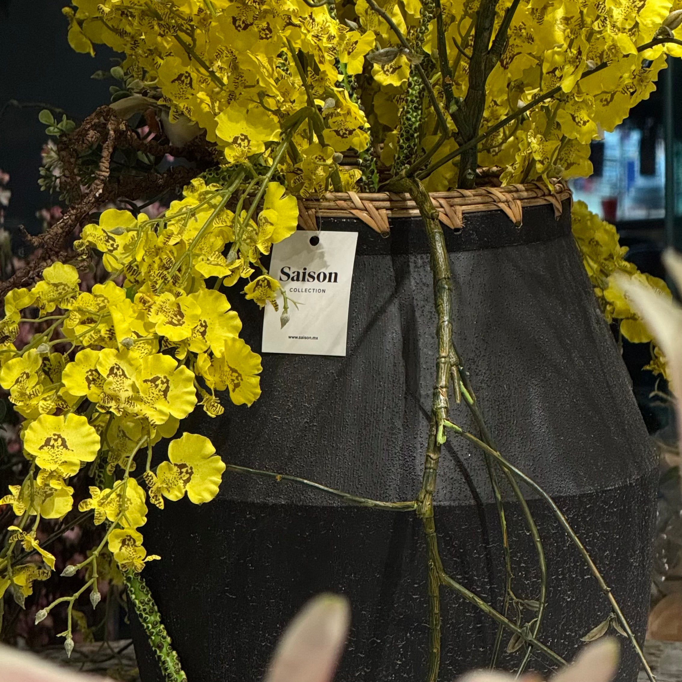 VARA DE ORQUIDEA AMARILLO
