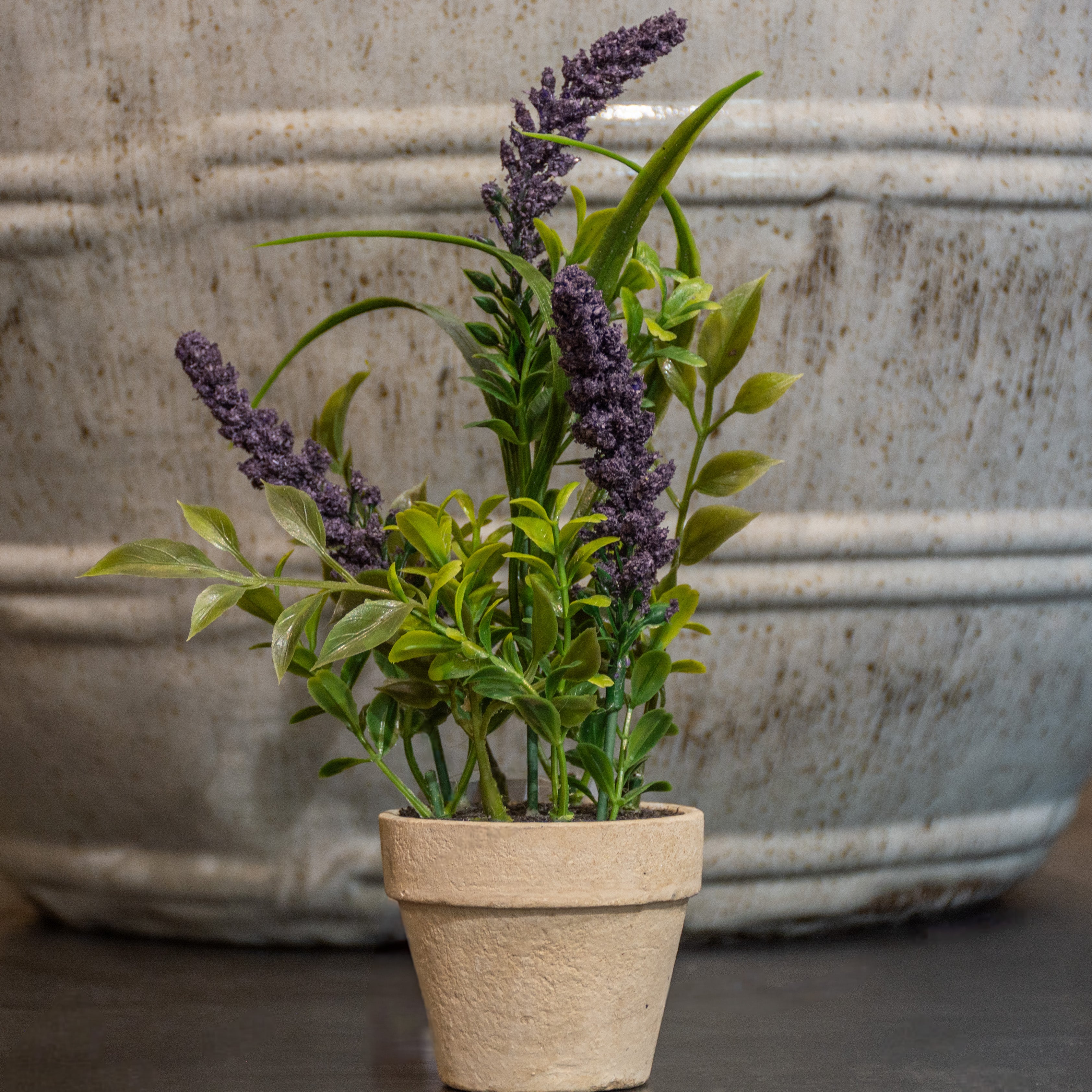 MACETA LAVANDA DK