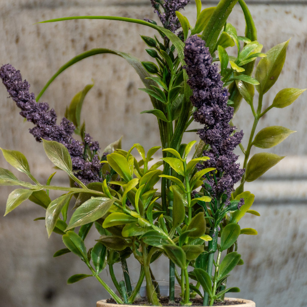 MACETA LAVANDA DK