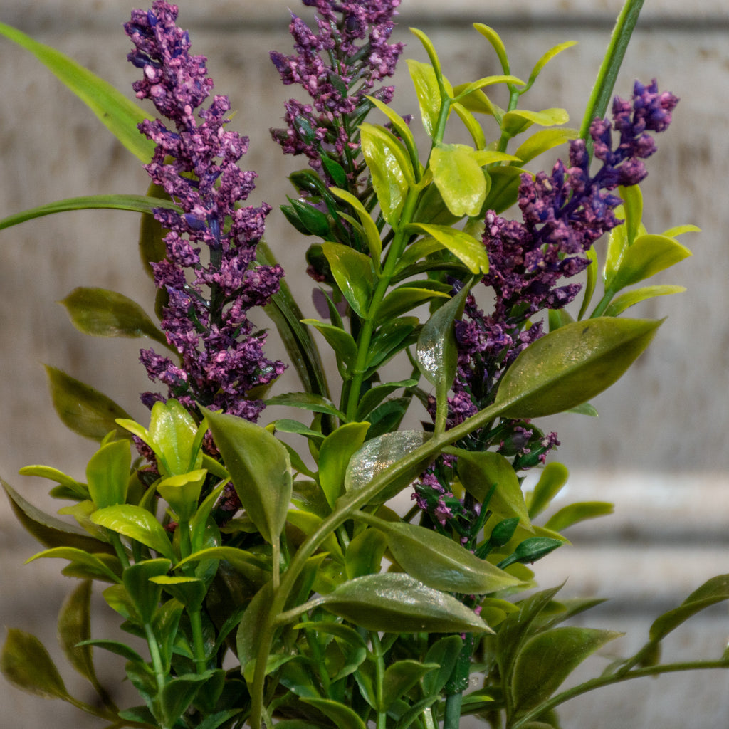 MACETA LAVANDA
