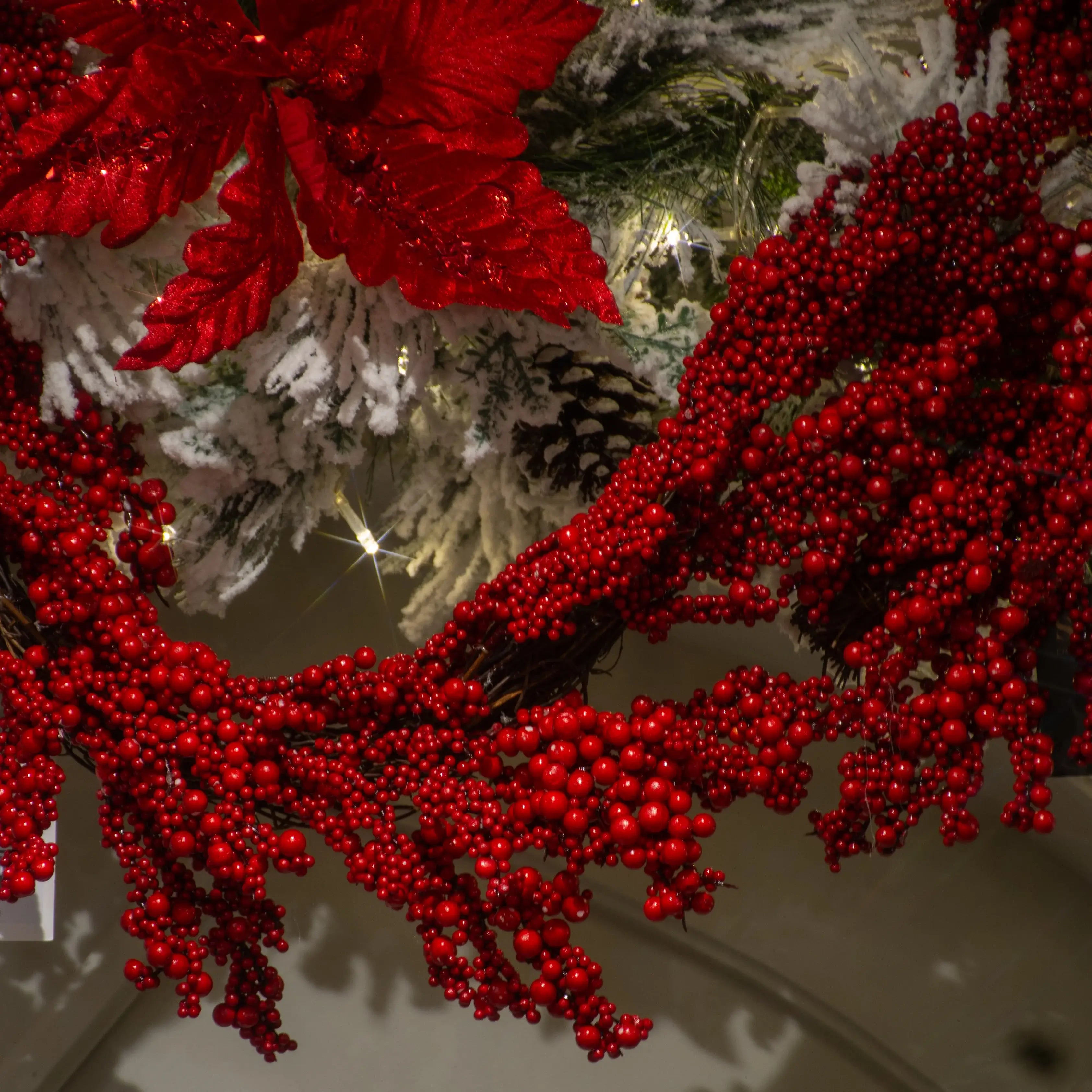 GUIA DE BERRIES ROJAS