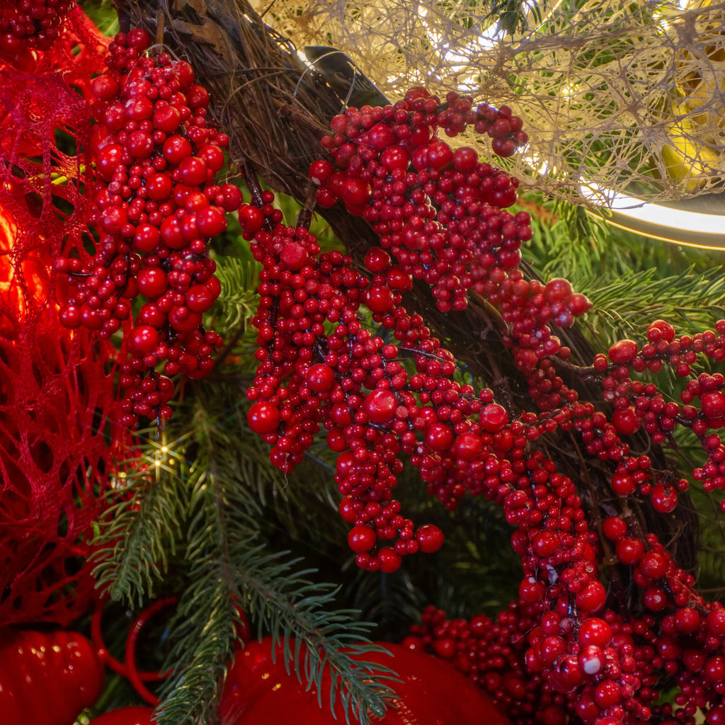 GUIA DE BERRIES ROJAS