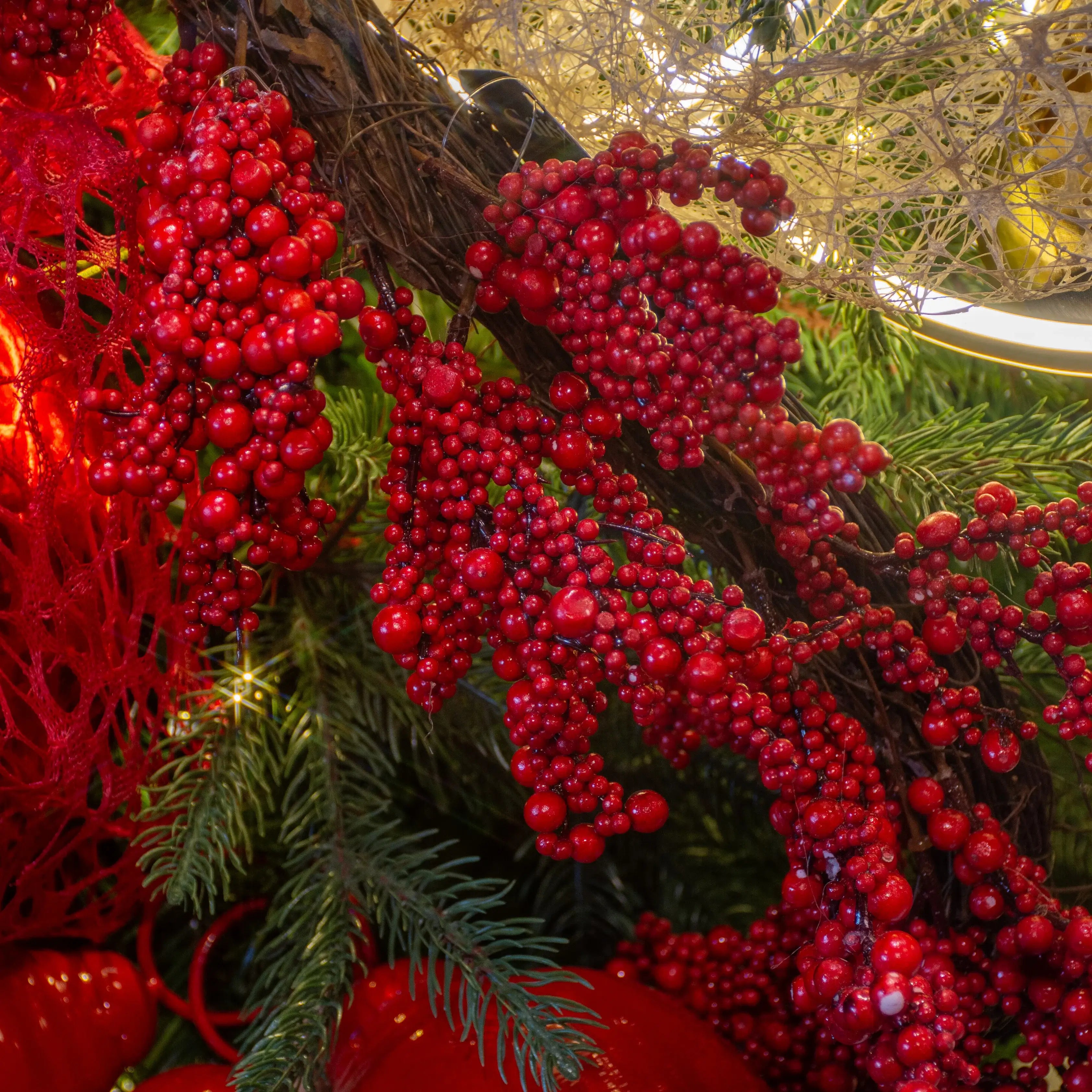 GUIA DE BERRIES ROJAS