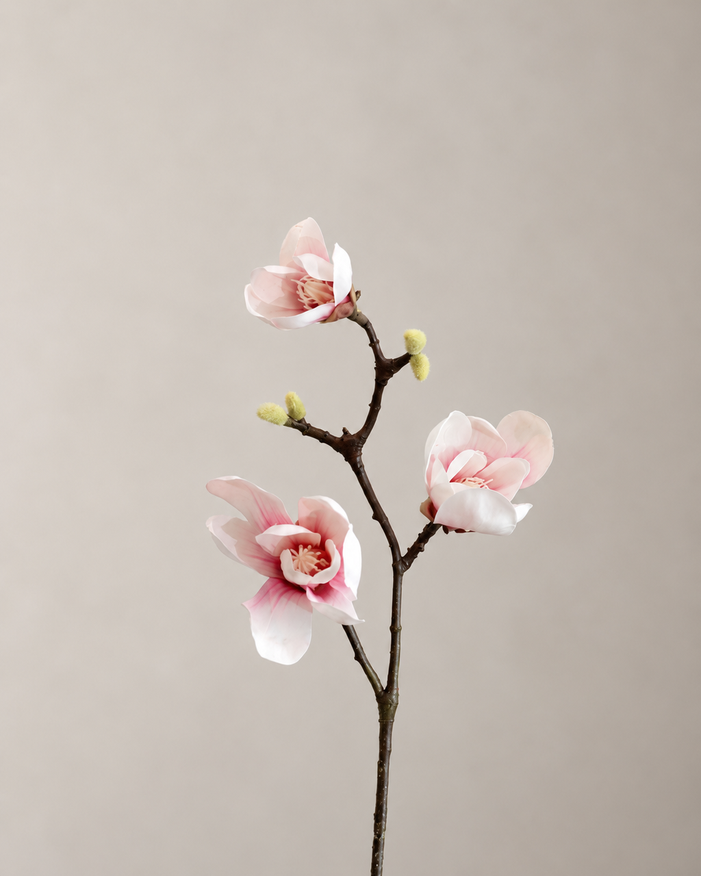 RAMO DE MAGNOLIAS ROSA
