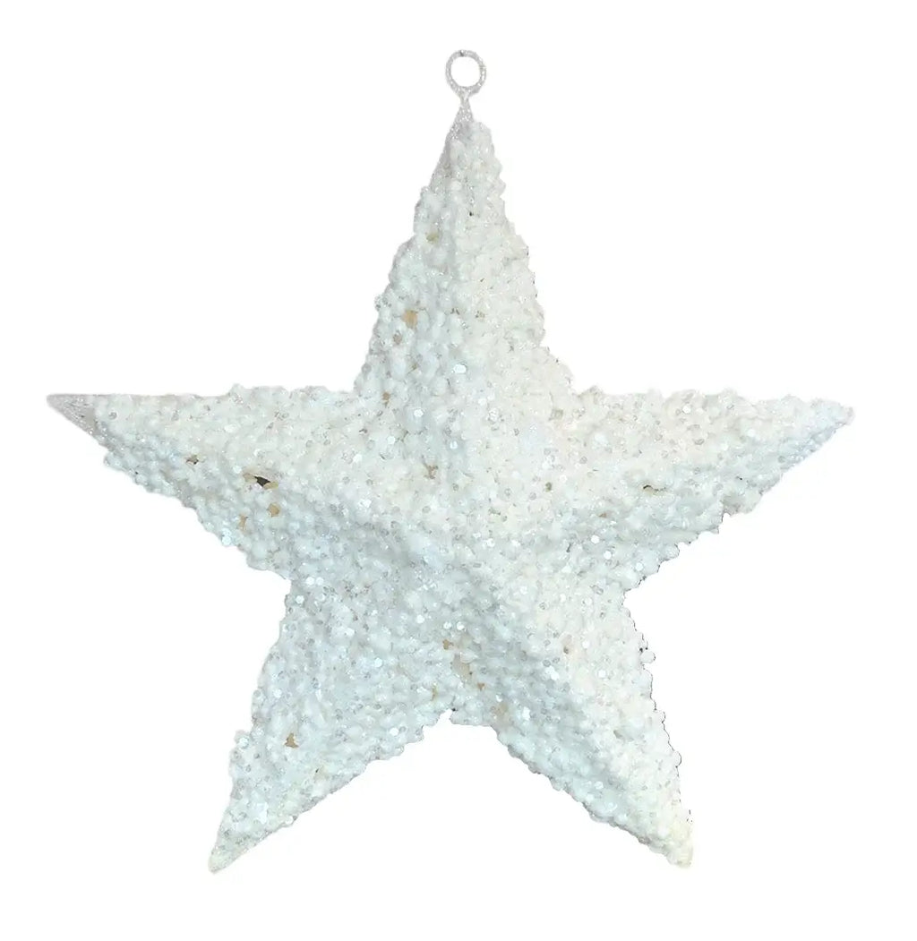 FIG. DE ESTRELLA BLANCO
