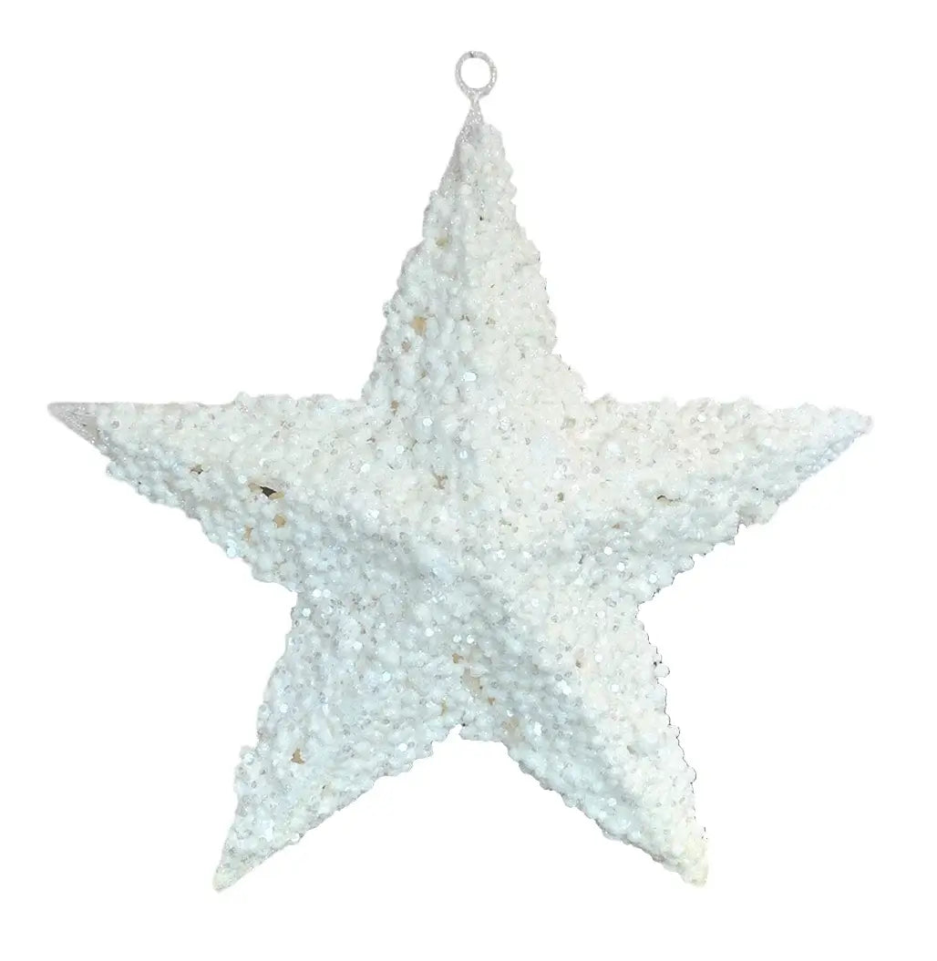 FIG. DE ESTRELLA BLANCO