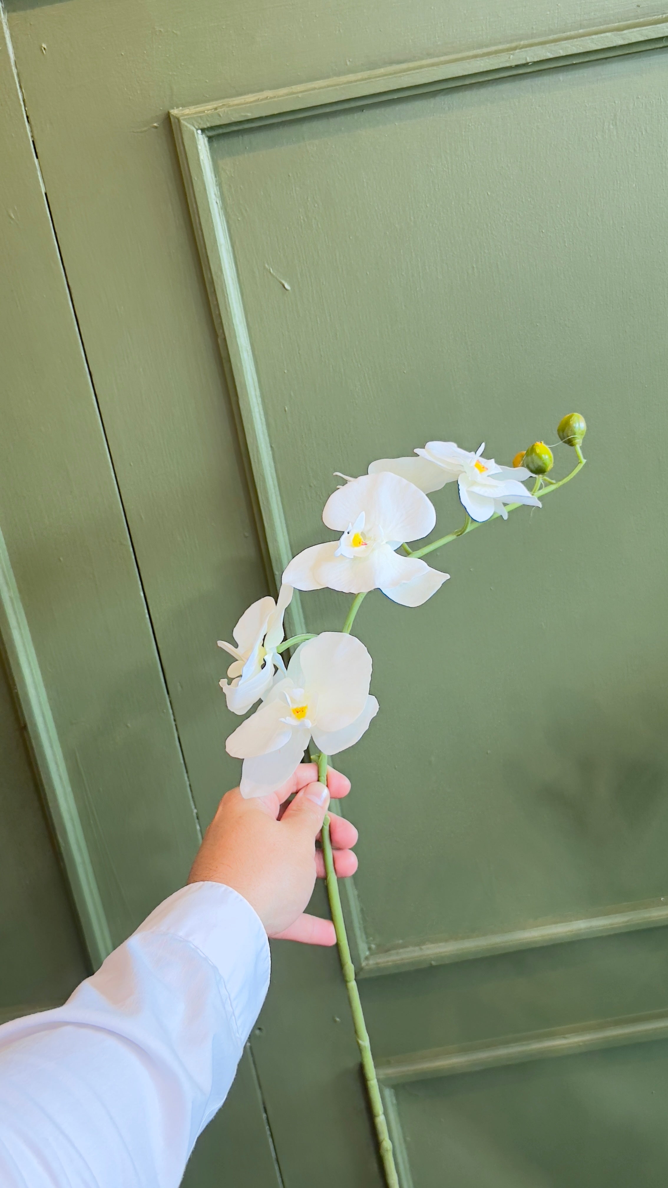 VARA DE ORQUÍDEAS MEDIANA
