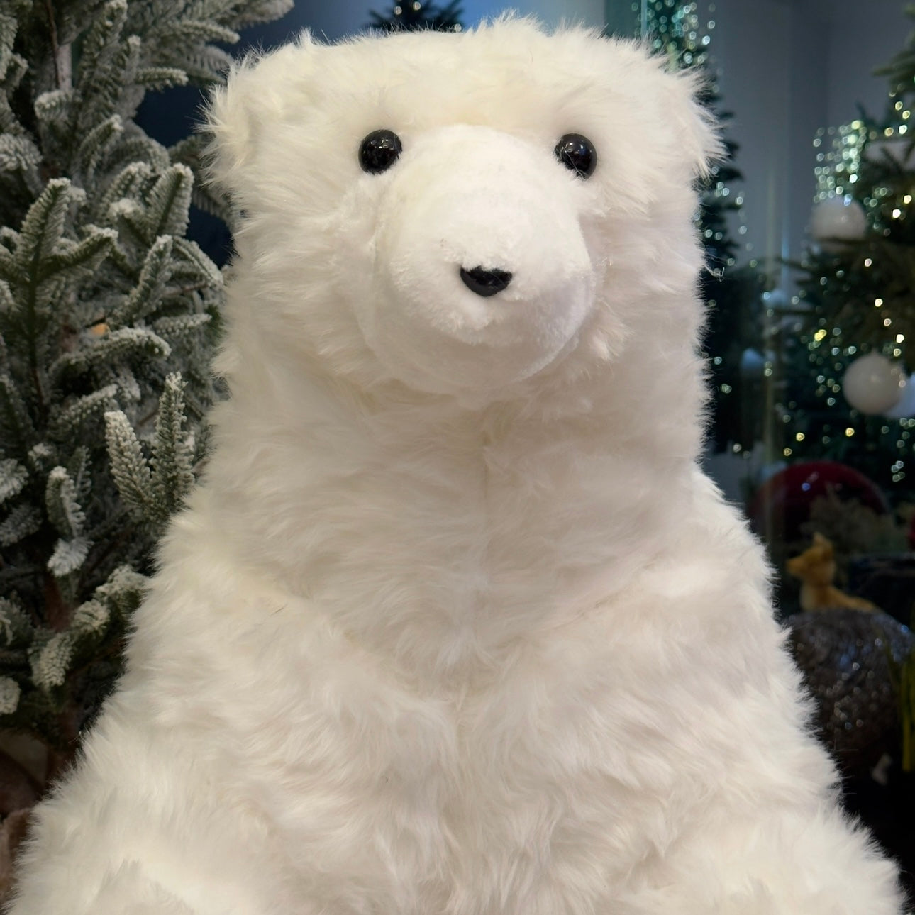 OSOS POLAR FAMILIA