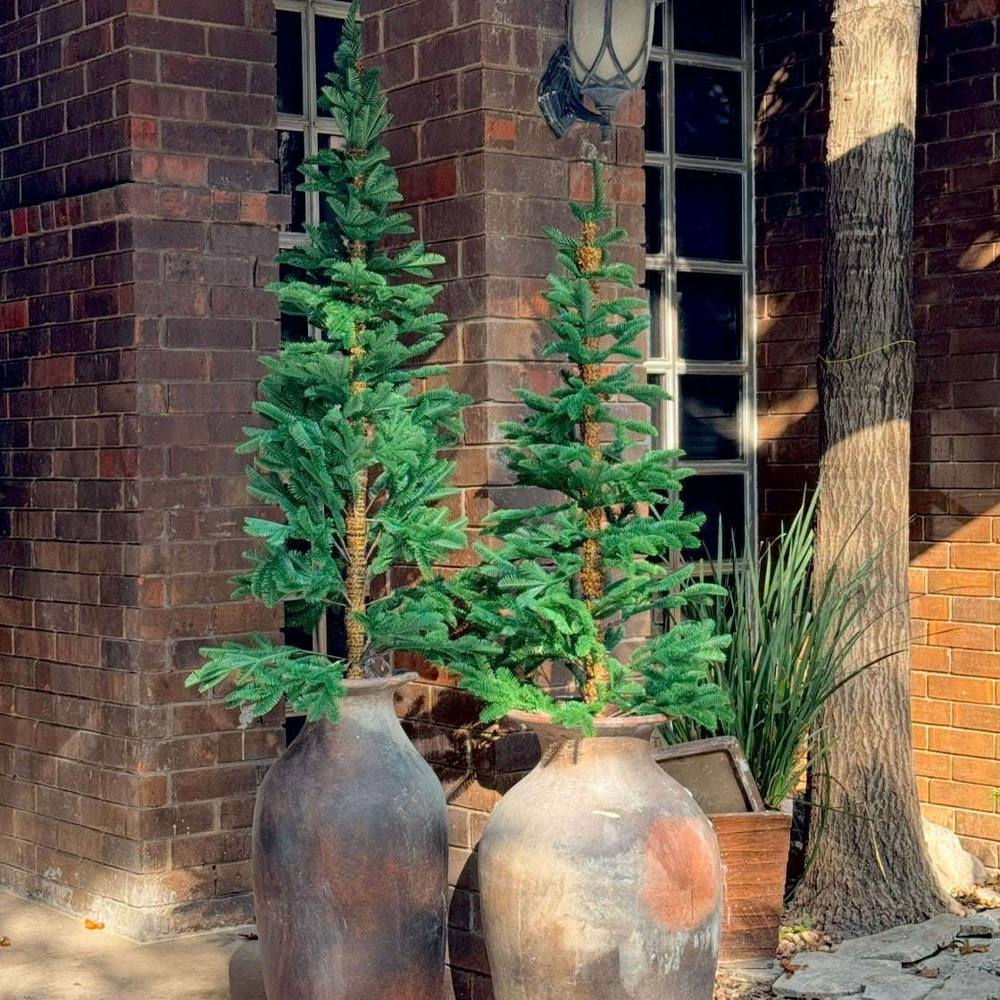 ARBOL ALPINE