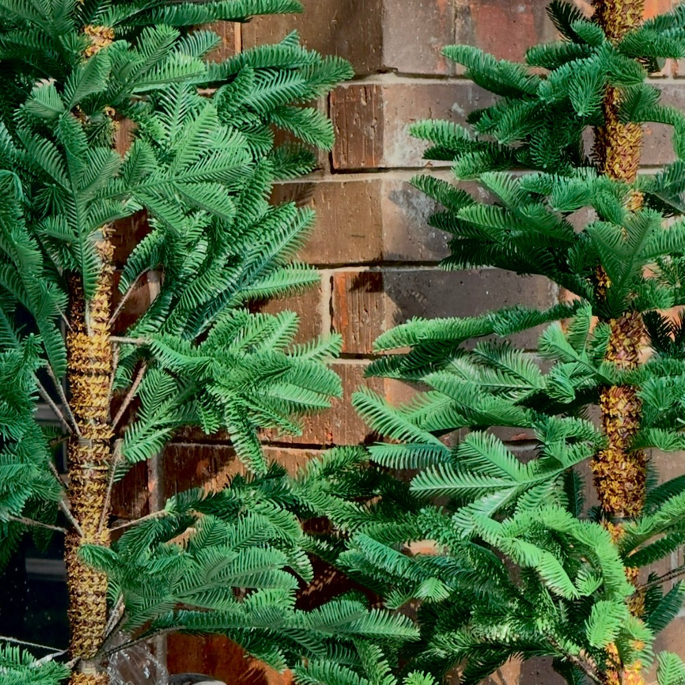 ARBOL ALPINE